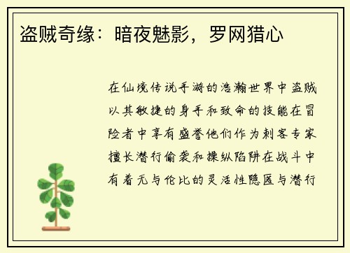 盗贼奇缘：暗夜魅影，罗网猎心
